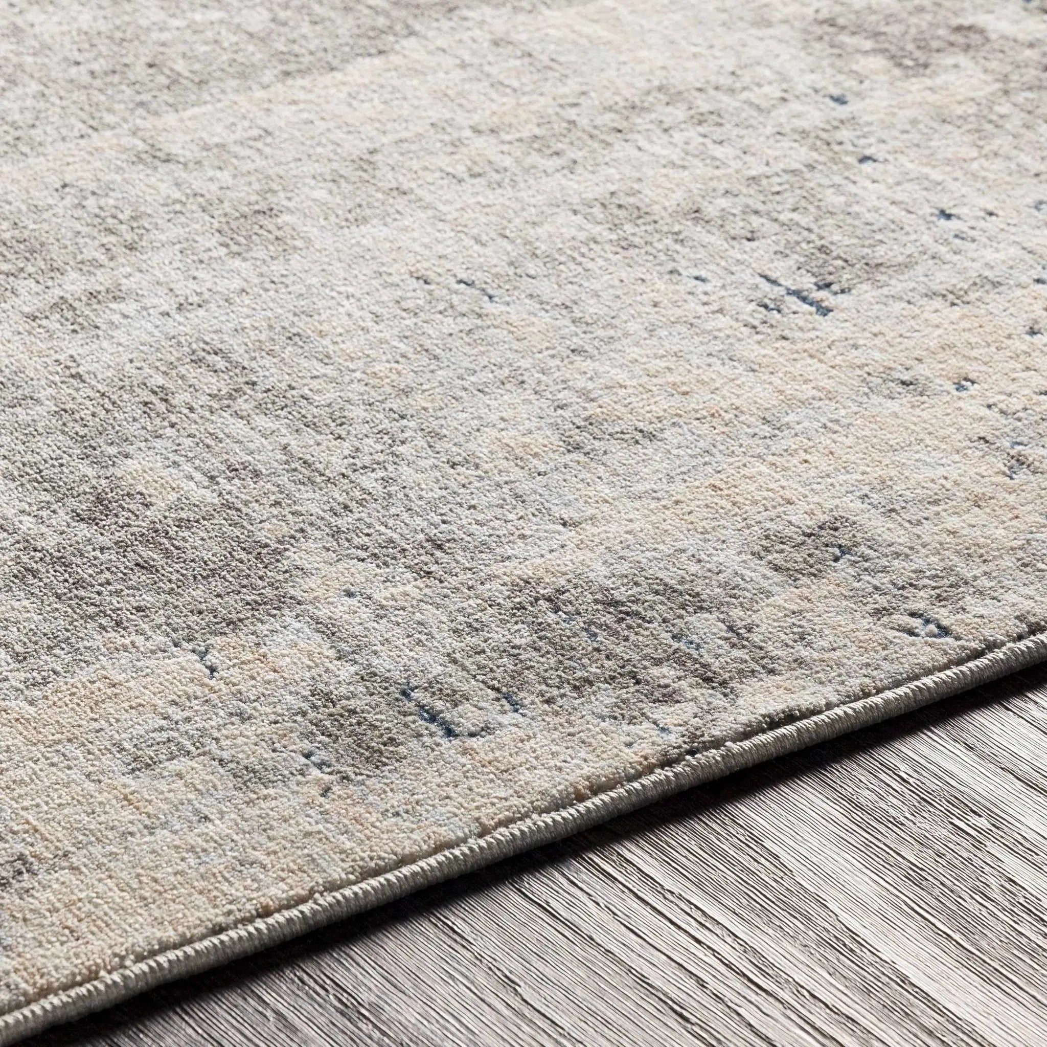 Tonalea Carved Statement Area Rug - Clearance by Boutique Rugs