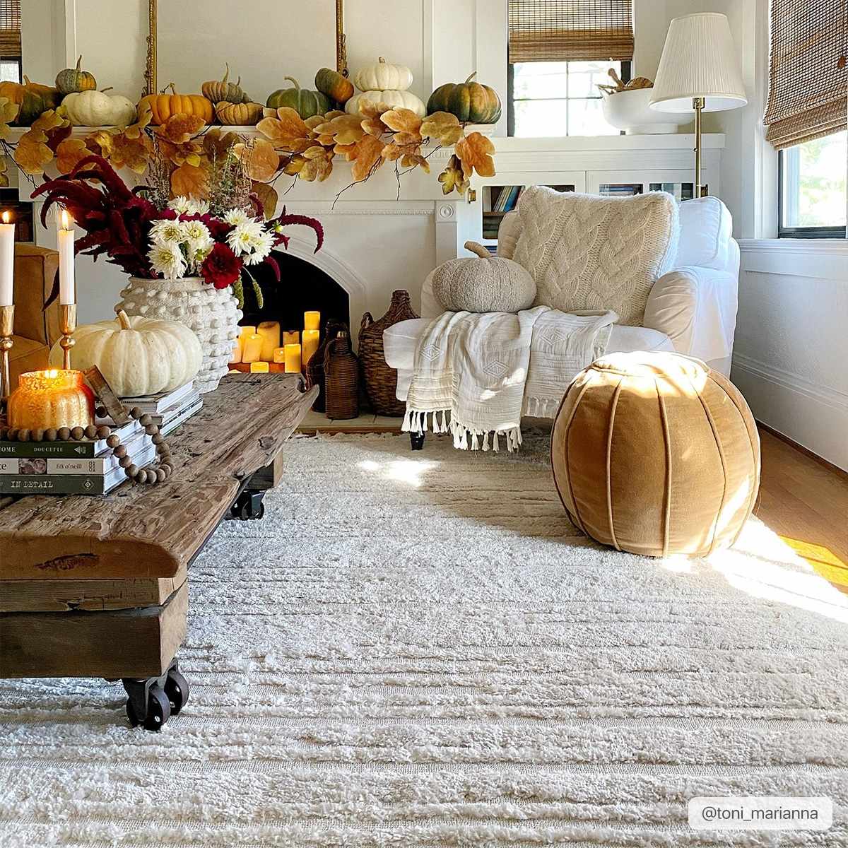 Ibarra Textured Ivory High/Low Pile Rug with Tassels, photo 6 of 18