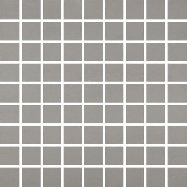 Topo Matte 1x1 Stone Look Porcelain Mosaics 12x12