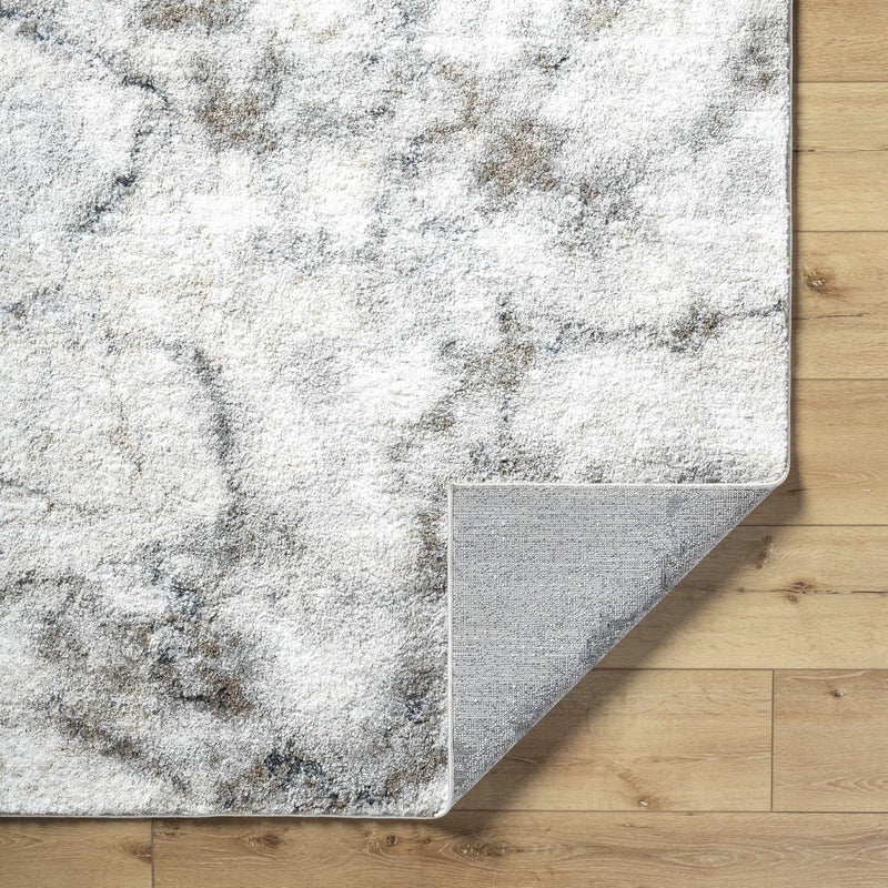 Titan Light Gray Area Rug - Clearance by Boutique Rugs