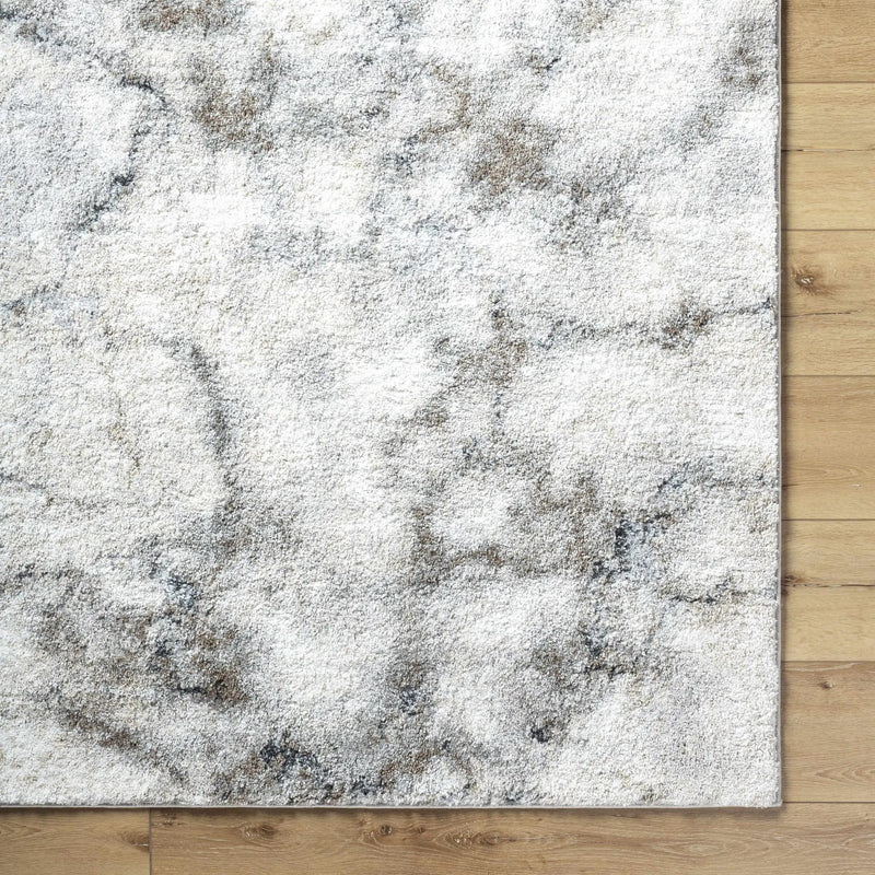 Titan Light Gray Area Rug - Clearance by Boutique Rugs