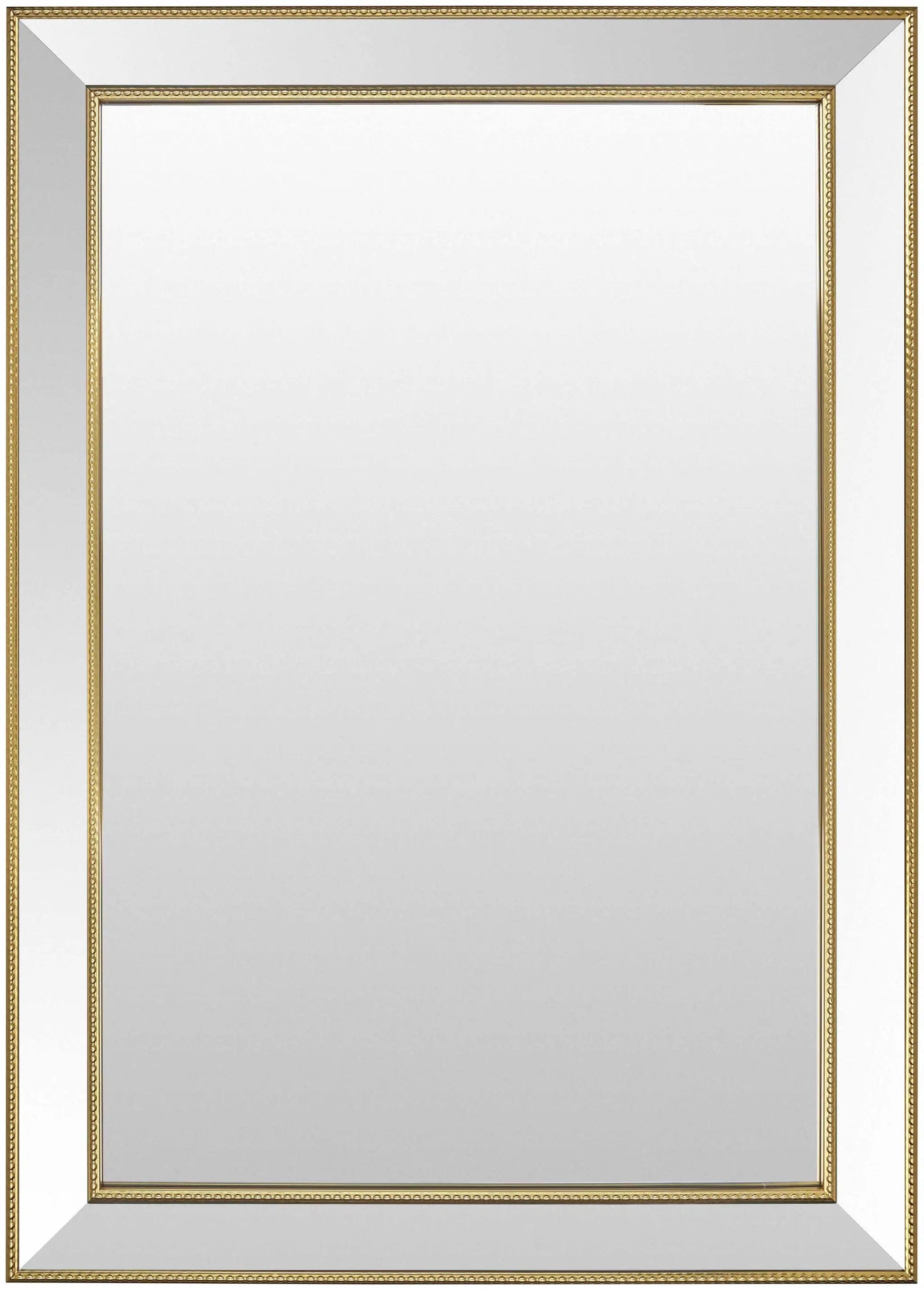 Netzschkau Rectangular Gold Mirror by Boutique Rugs