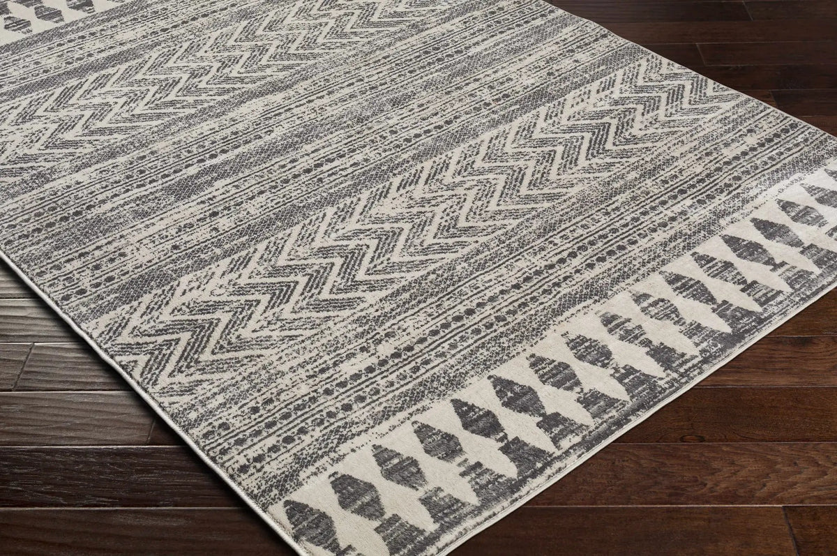 Tuy Area Rug, photo 3 of 5