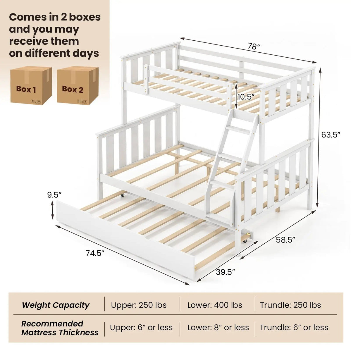3-in-1 Twin Over Full Bunk Bed with Trundle and Ladder, photo 5 of 9