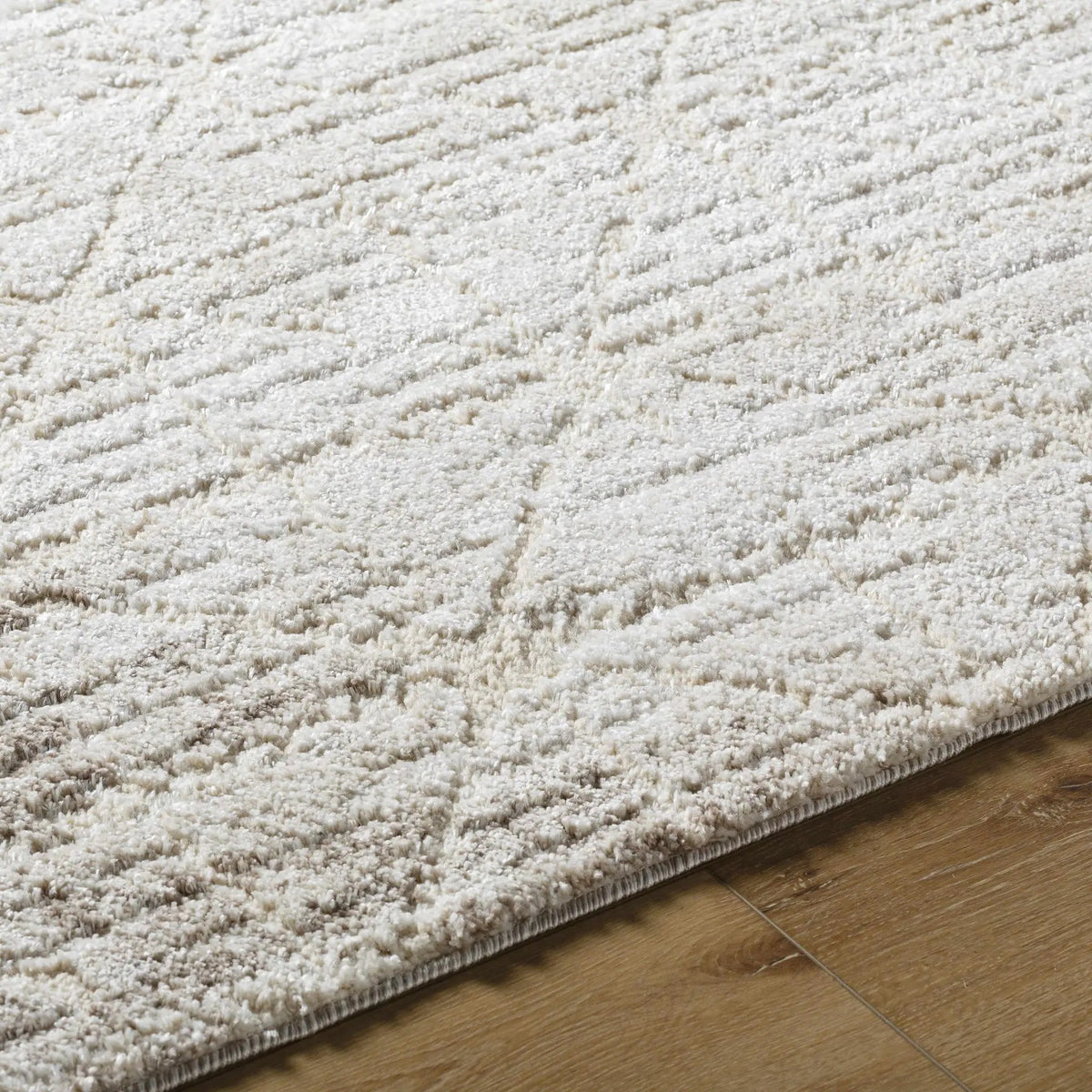 Tyree Area Rug, photo 6 of 6