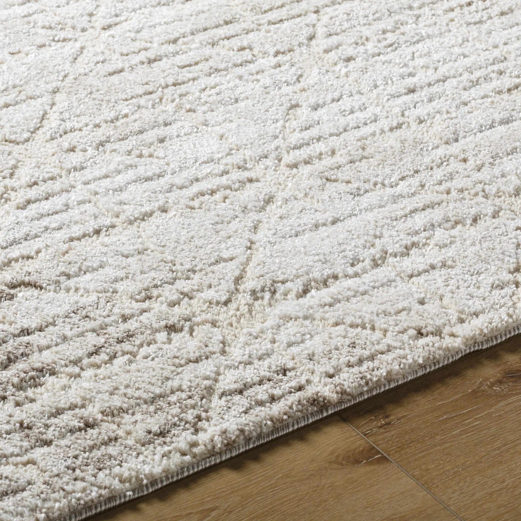 Tyree Area Rug by Boutique Rugs