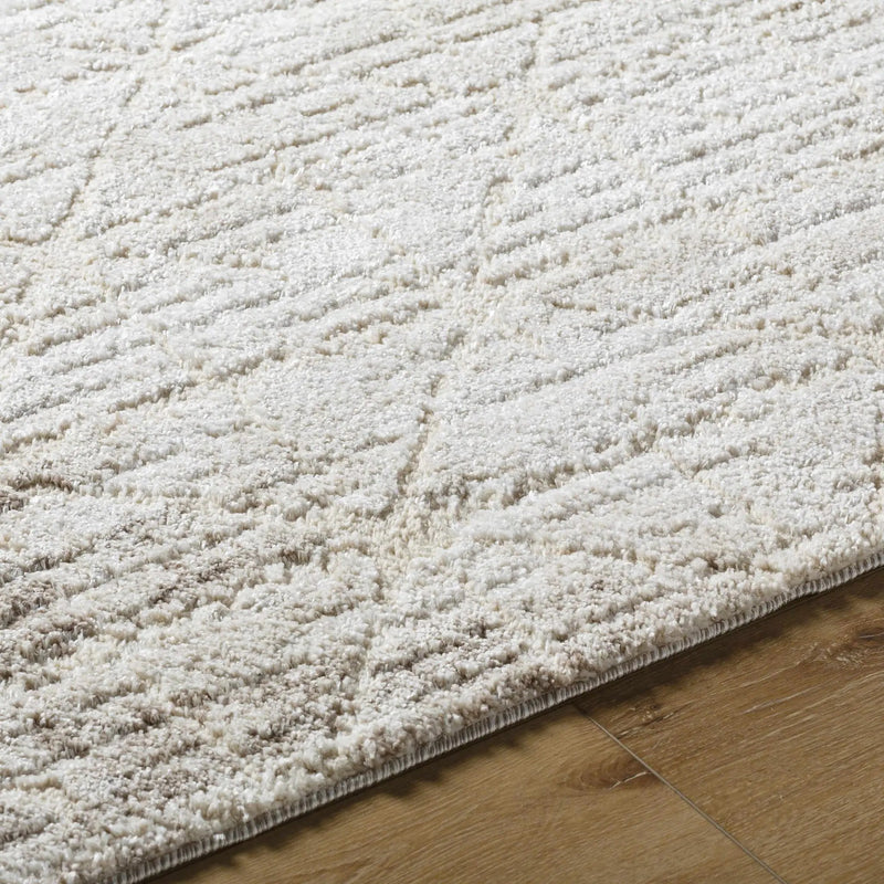 Tyree Area Rug by Boutique Rugs