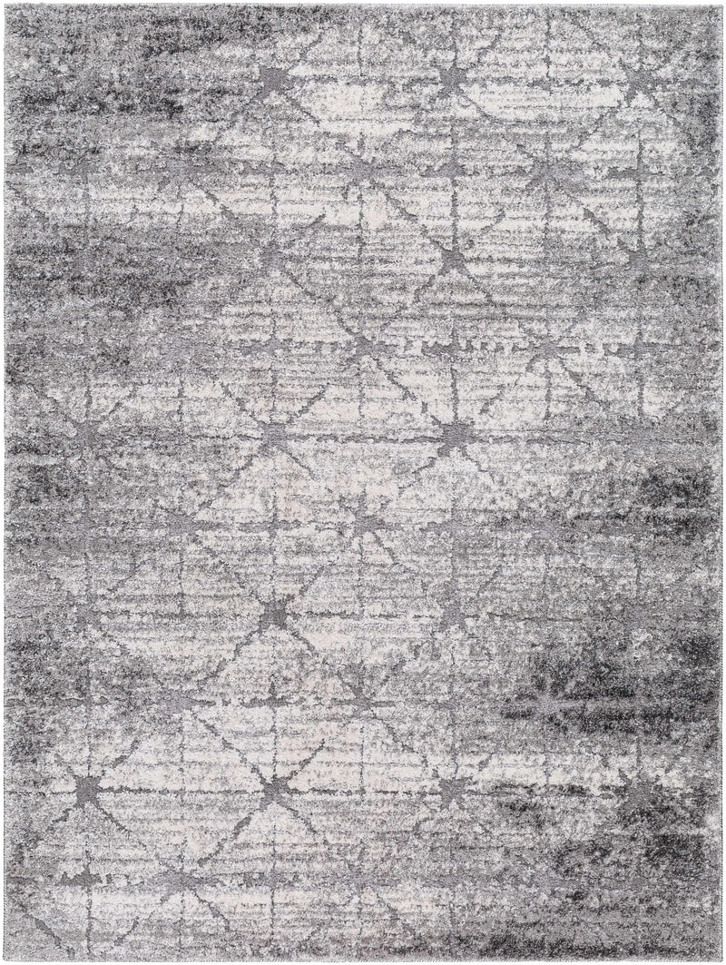 Tyree Distressed Gray Trellis Area Rug by Boutique Rugs