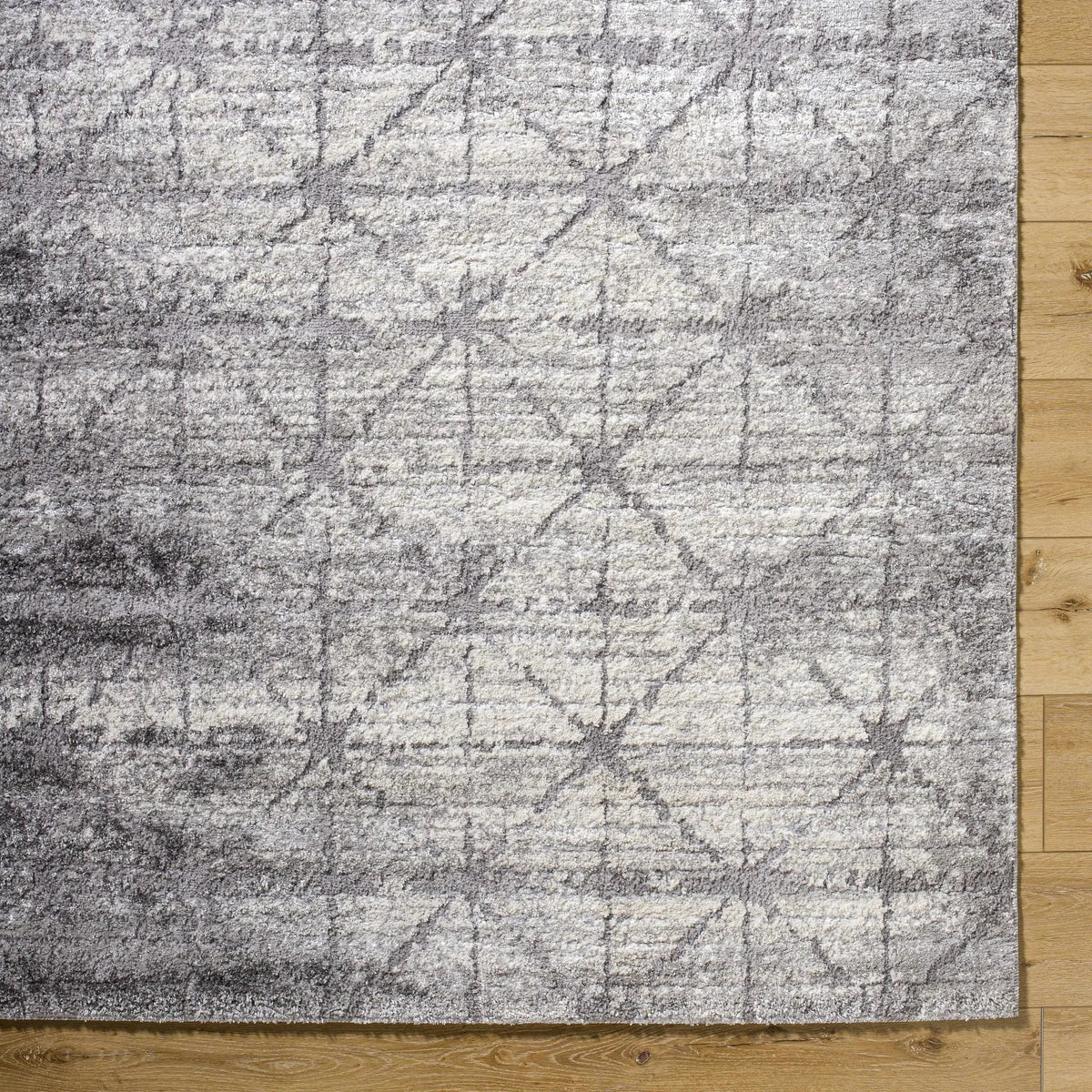 Tyree Distressed Gray Trellis Area Rug, photo 7 of 8