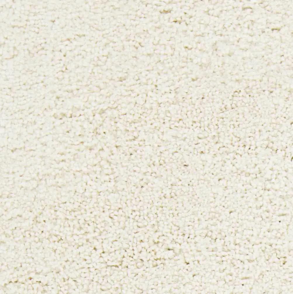 Umpire Area Rug - Clearance, sample swatch