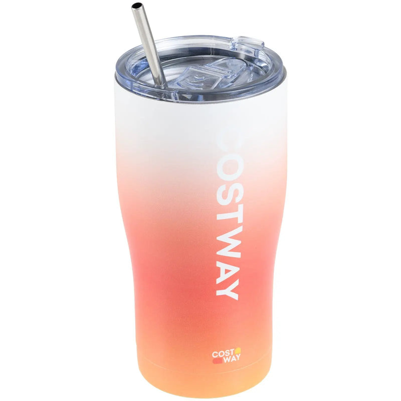 Costway Stainless Steel Tumbler with Lid and Metal Straw by DirectDeals