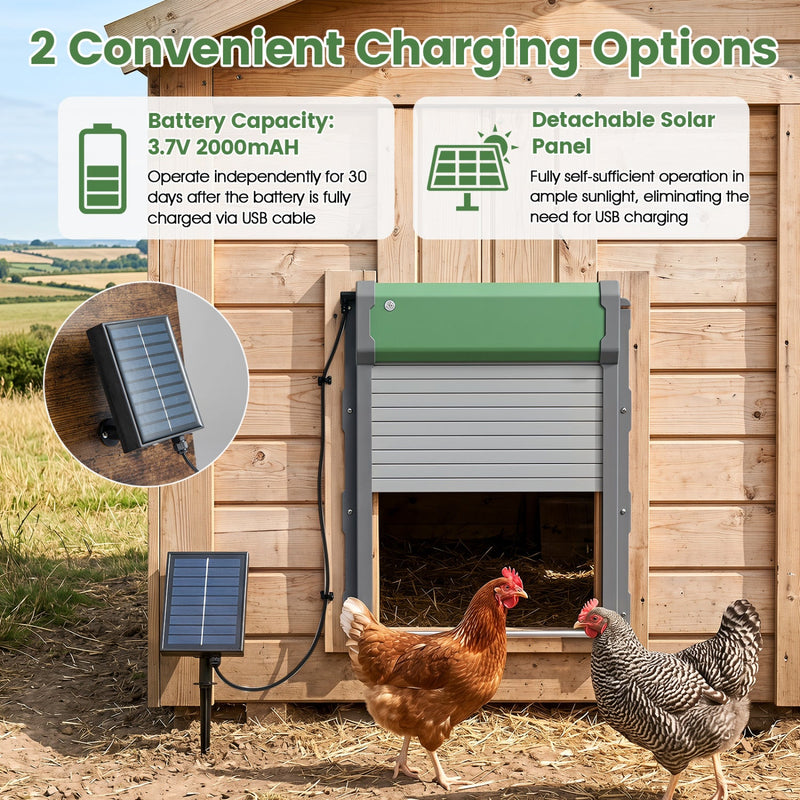 Automatic Chicken Coop Door with Remote Control & Light Sensor by DirectDeals