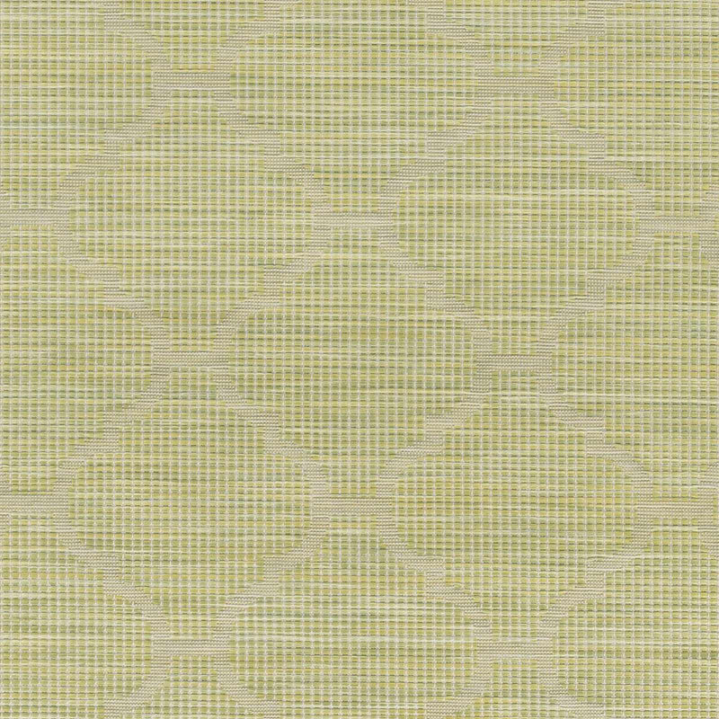 Unique Outdoor Trellis Area Rug, Olive Green - Clearance by Boutique Rugs