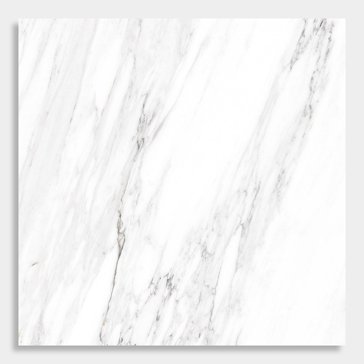 Venato Bianco Polished Porcelain Tiles 24x24 Porcelain Polished 24x24 Tiles — 2