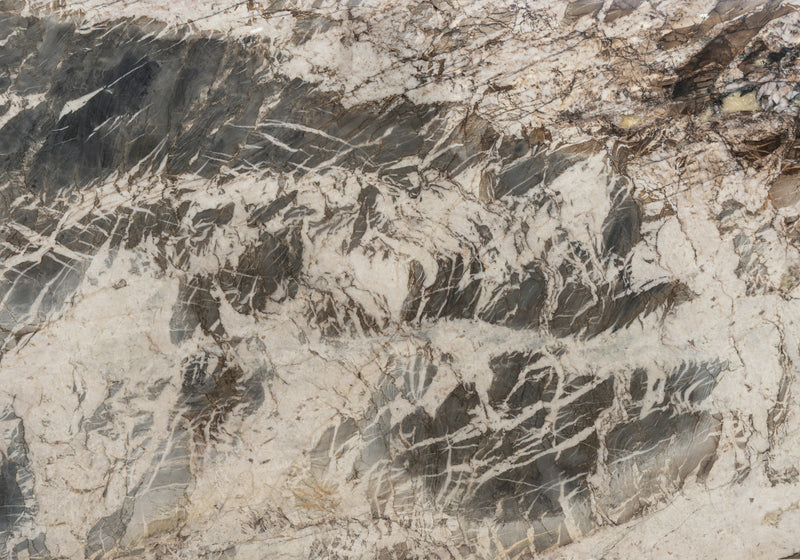 Vittara Crystal Polished Quartzite Slab Random