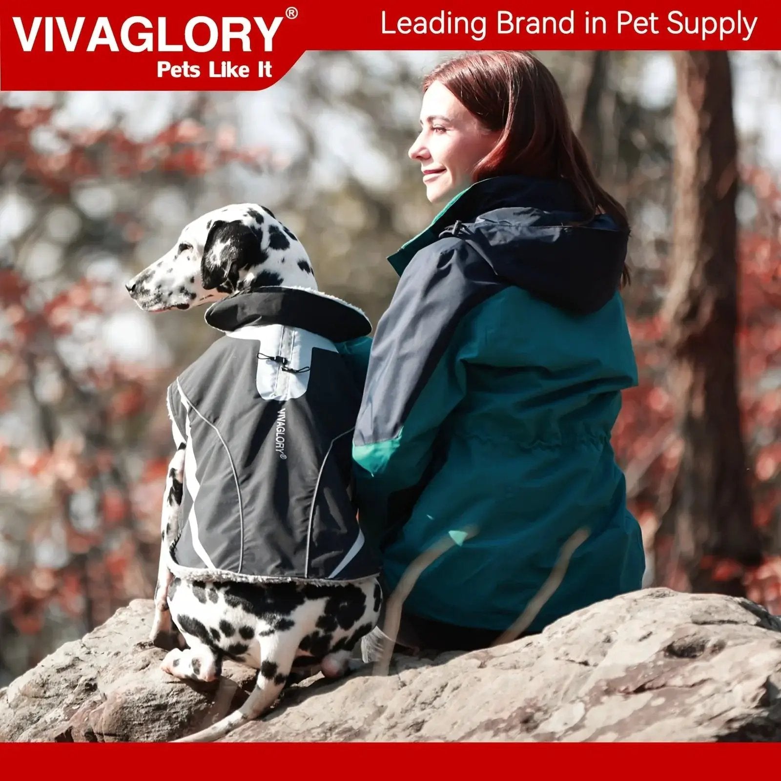 VIVAGLORY Dog Coat For Winter Dog Jacket With Harness Hole, Fleece Dog Vest For Cold Weather Dog Fleece Coat With , Warm Dog Parka Puppy Coat For Snow Puppy Jacket With Zipper, Reflective Dog Coat Dog Jacket For Hunting by House Of Avana