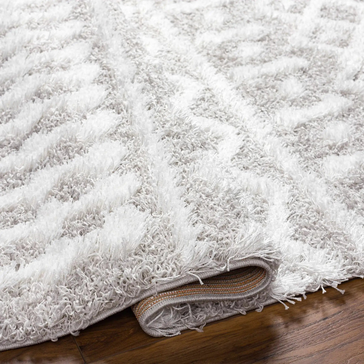 Vernonburg Shag Area Rug, photo 5 of 9