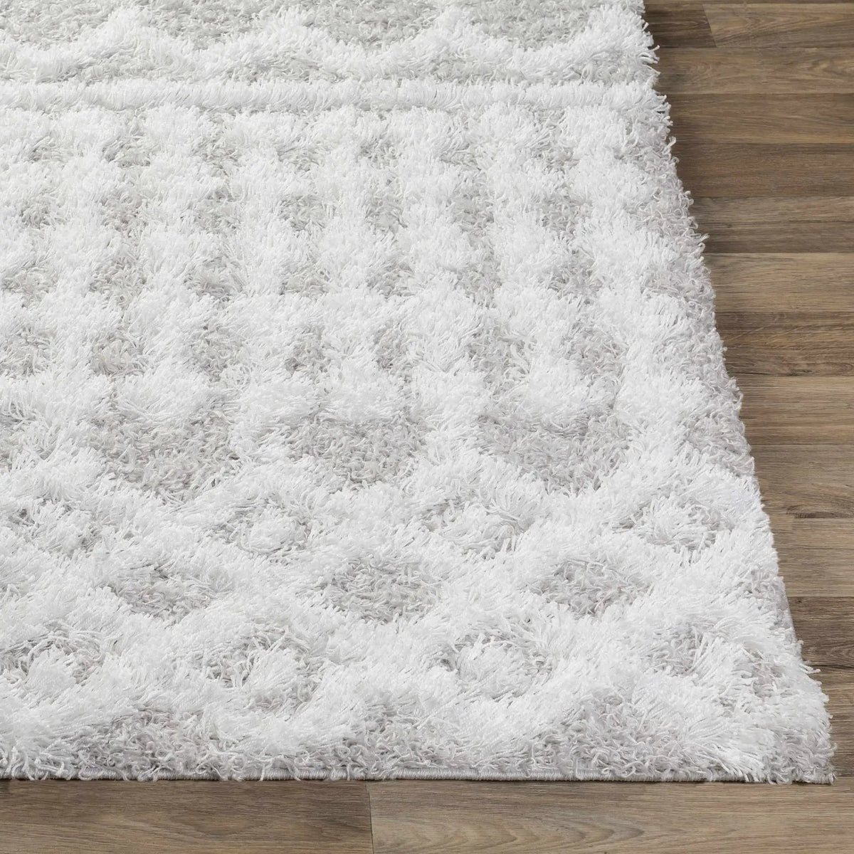 Vernonburg Shag Area Rug, photo 4 of 9