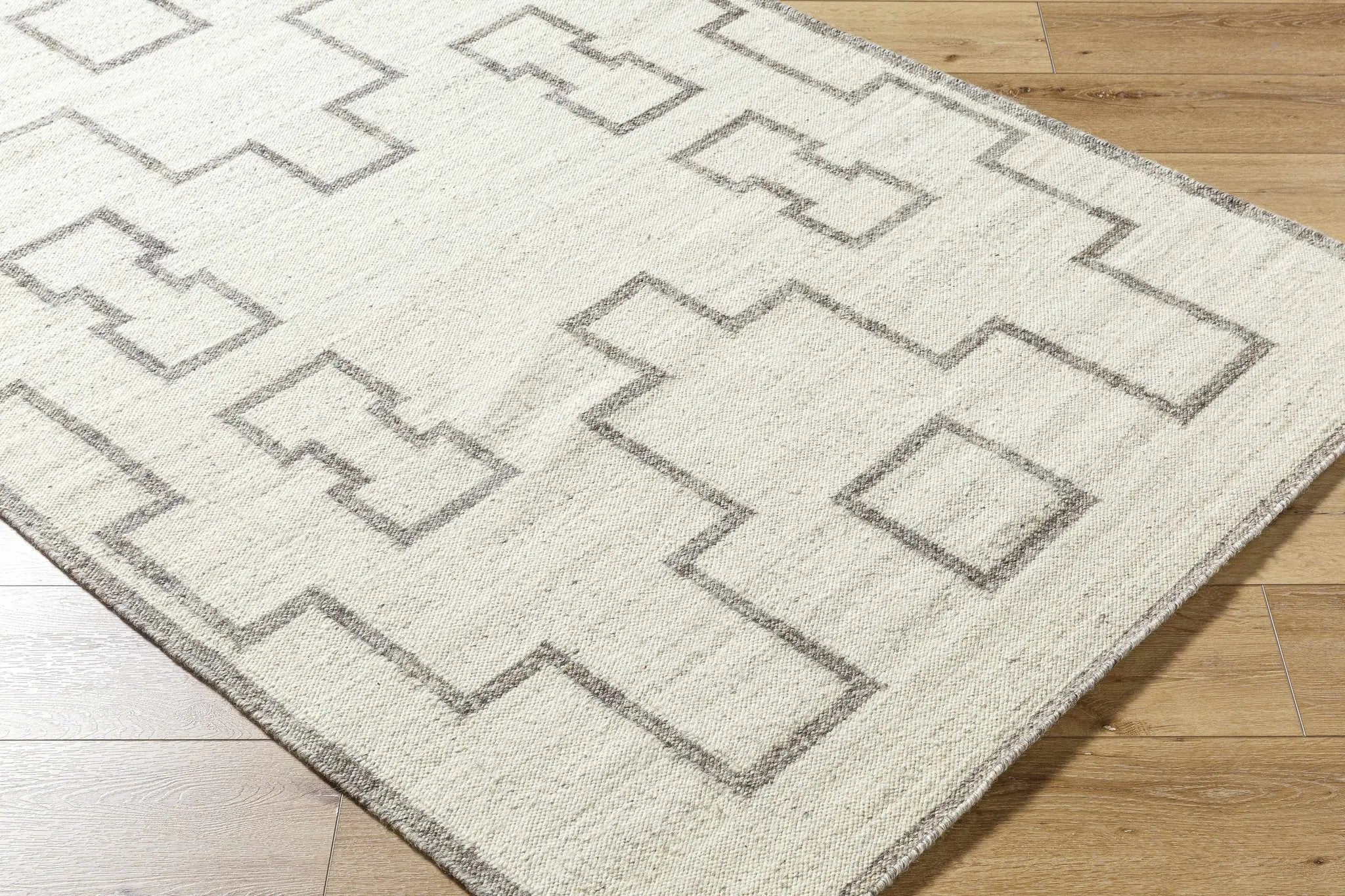 Vanig Area Rug by Boutique Rugs