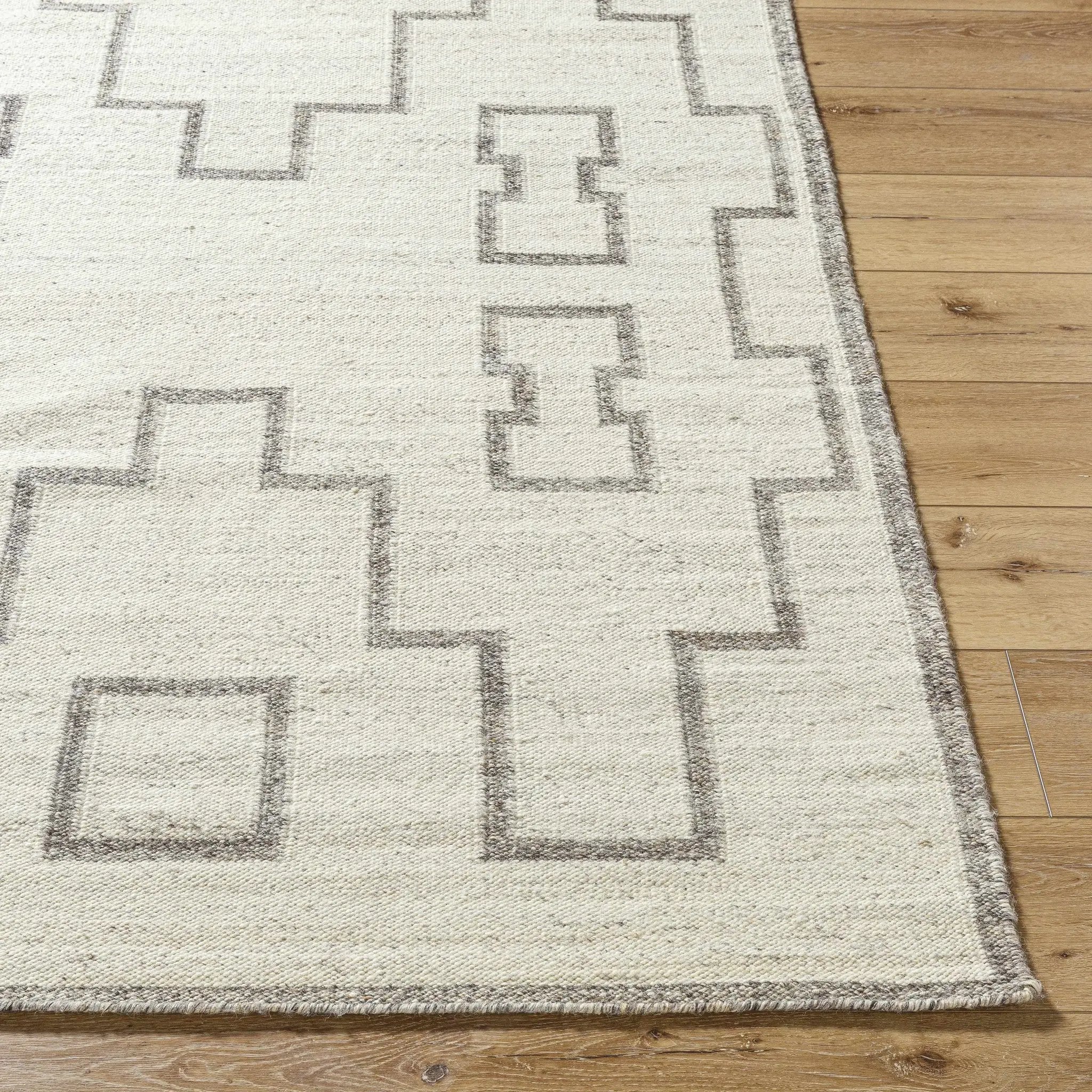Vanig Area Rug by Boutique Rugs