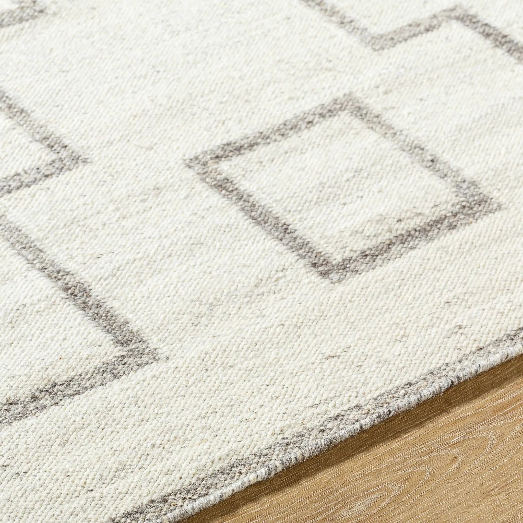 Vanig Area Rug by Boutique Rugs