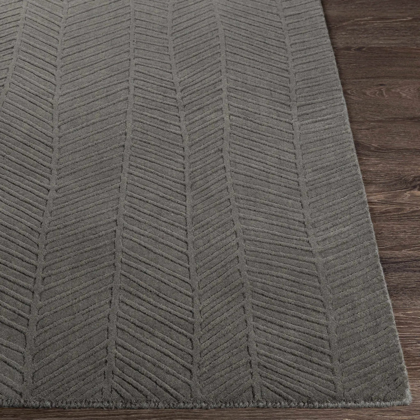 Everson Carpet Area Rug - Clearance by Boutique Rugs