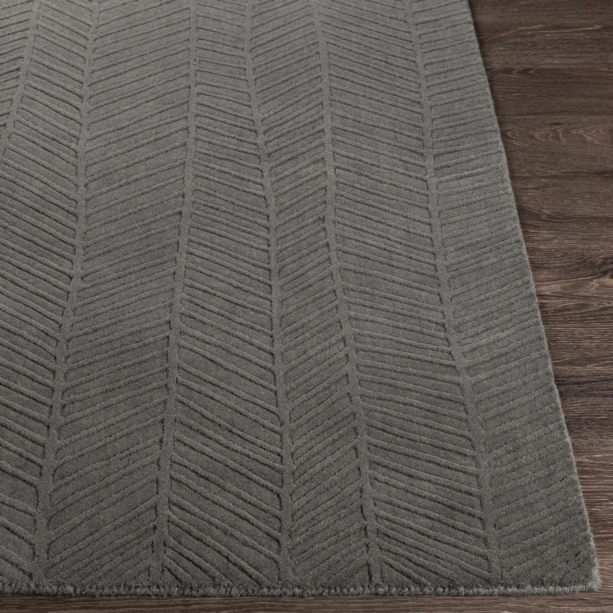 Everson Carpet Area Rug - Clearance by Boutique Rugs