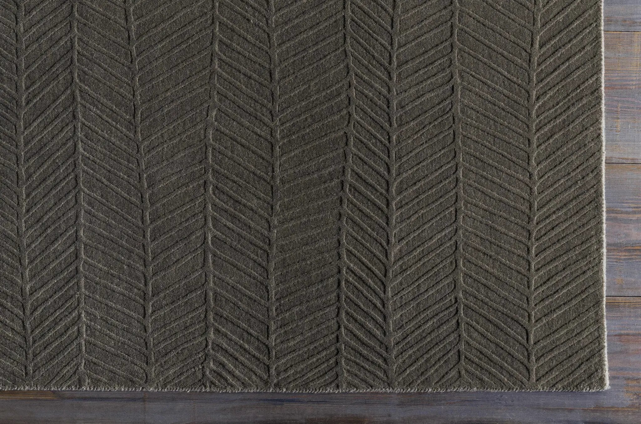 Everson Carpet Area Rug - Clearance by Boutique Rugs