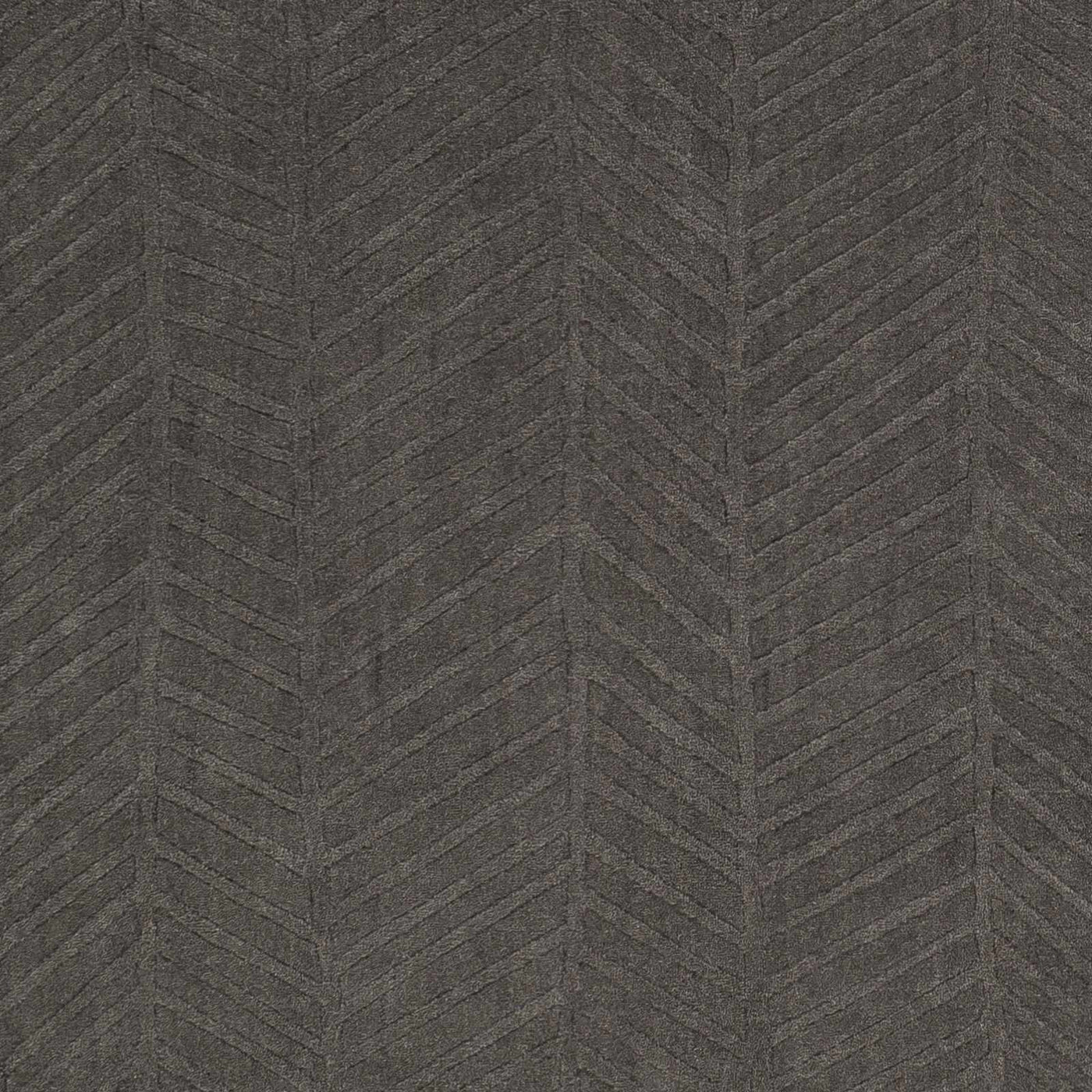 Everson Carpet Area Rug - Clearance by Boutique Rugs