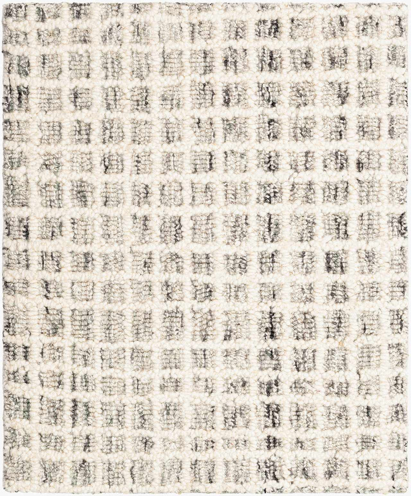 Anahid Beige Area Rug by Boutique Rugs