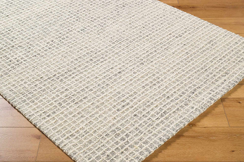 Anahid Beige Area Rug by Boutique Rugs