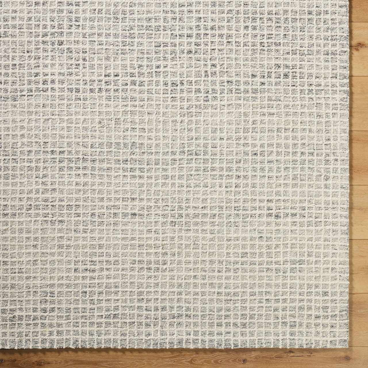 Anahid Beige Area Rug by Boutique Rugs