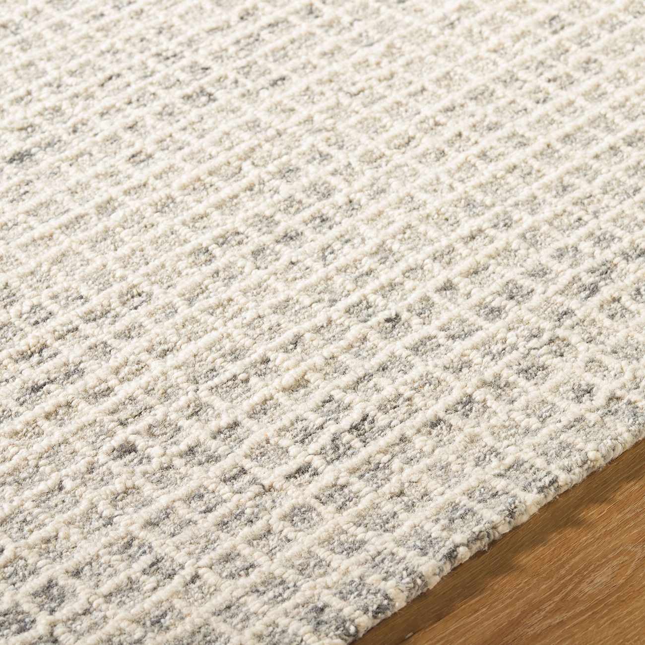 Anahid Beige Area Rug by Boutique Rugs