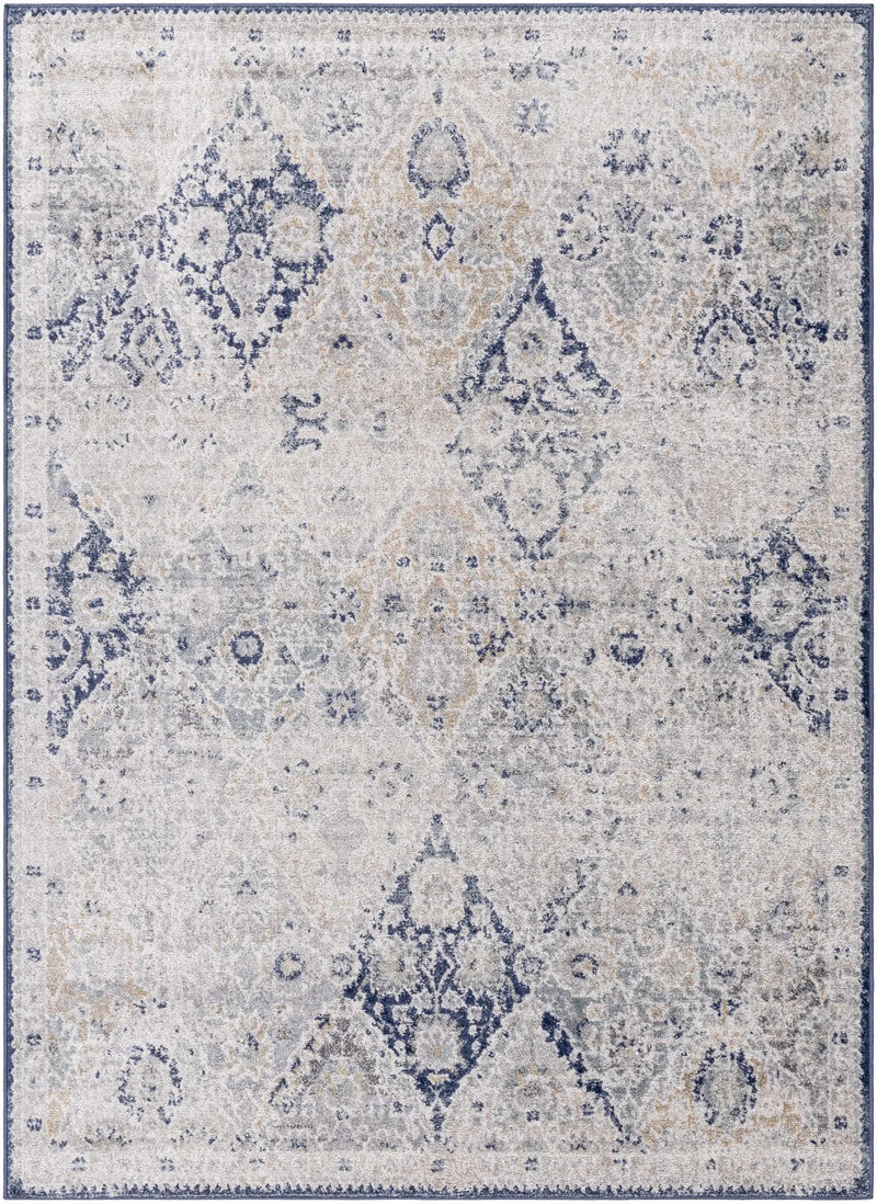 Valin Area Rug - Clearance by Boutique Rugs