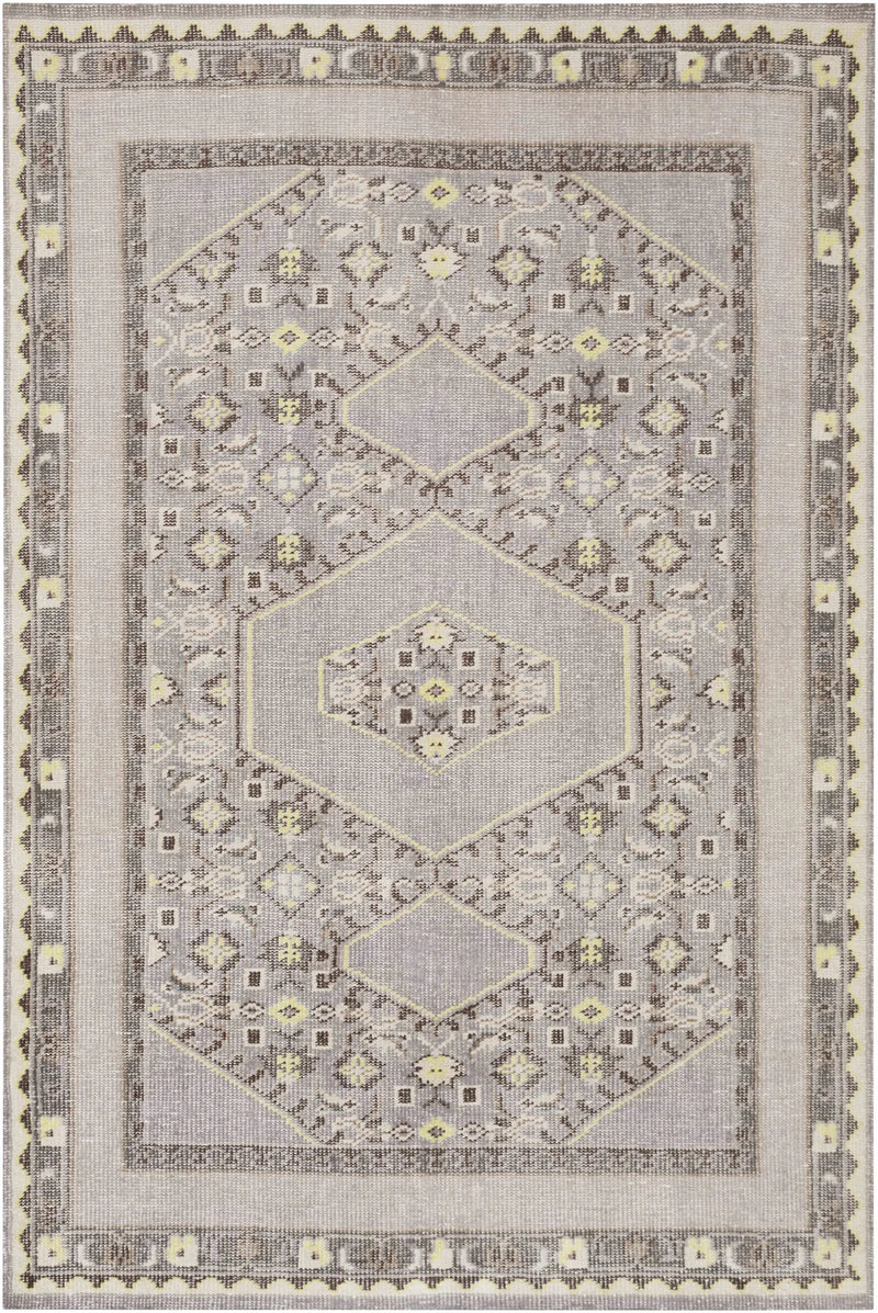 Walden Area Rug - Clearance by Boutique Rugs
