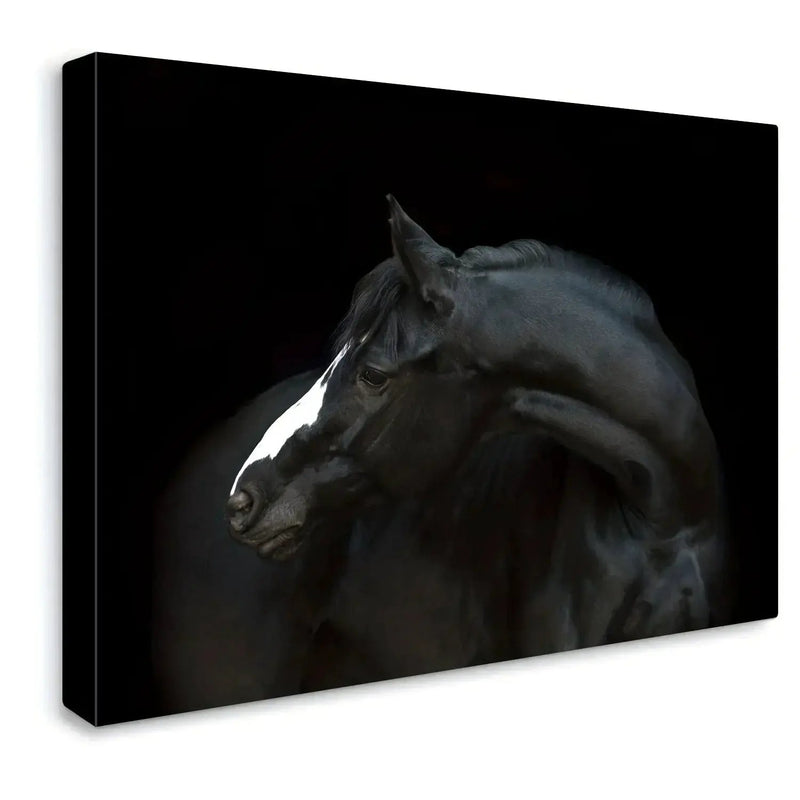 Wall Art - Poignant Canvas Various Sizes by House Of Avana
