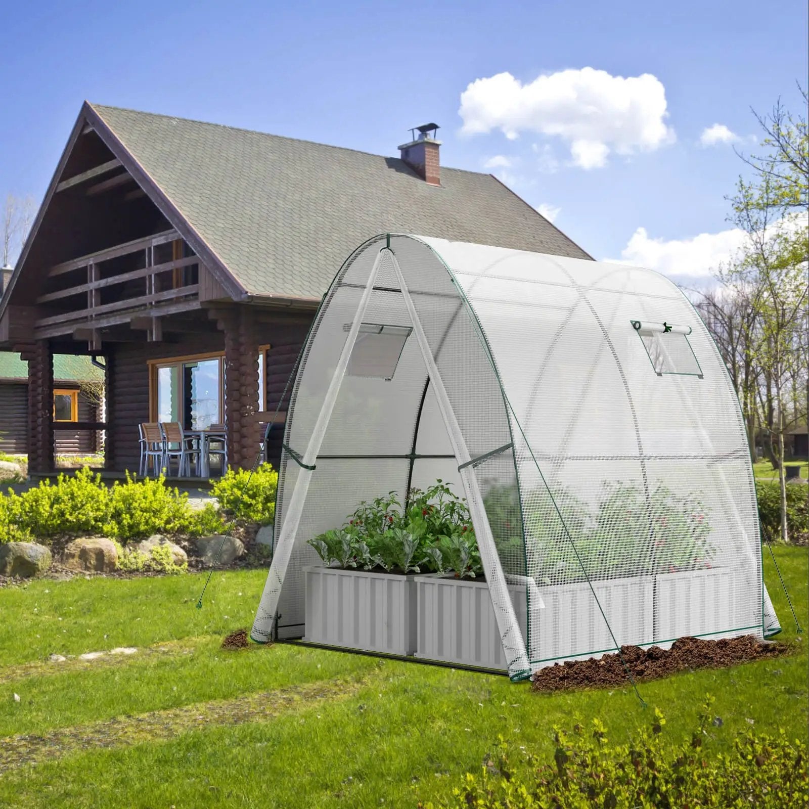 6 x 6 x 6.6 FT Outdoor Wall-in Tunnel Greenhouse by DirectDeals