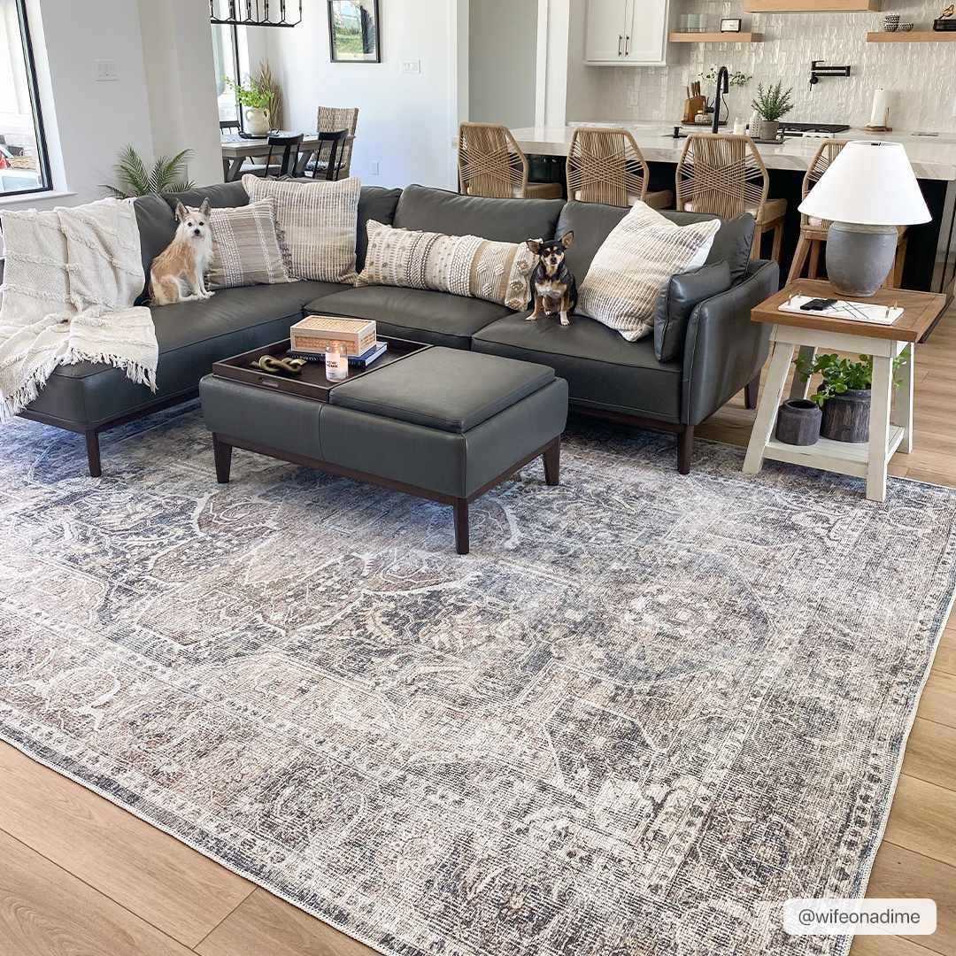 Mignon Washable Area Rug by Boutique Rugs