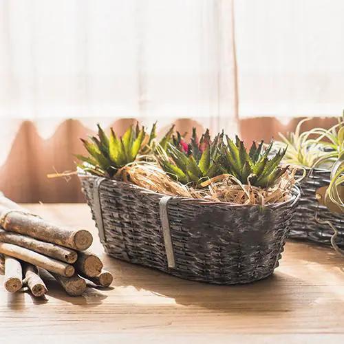 Willow Planter 'Cuisine' Hanging Flower Planter (Set of 2) by RusticReach