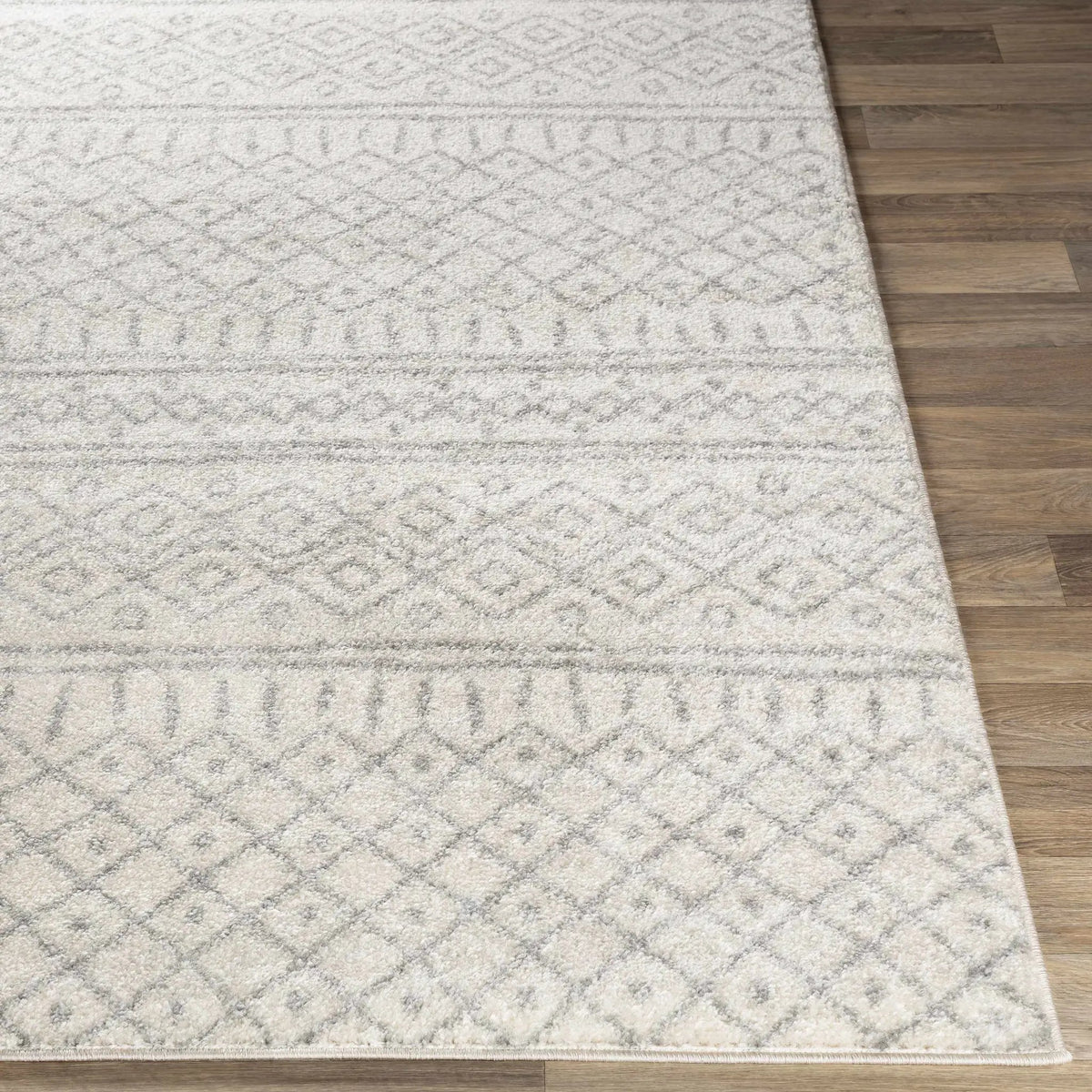 Winston Area Rug - Clearance, photo 4 of 8