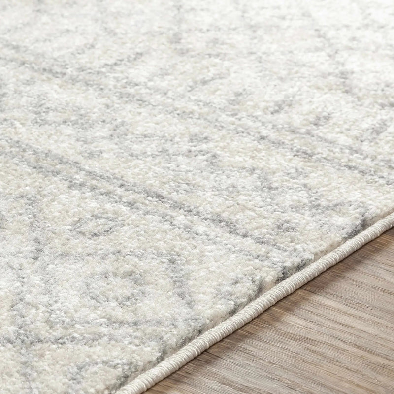 Winston Area Rug - Clearance by Boutique Rugs