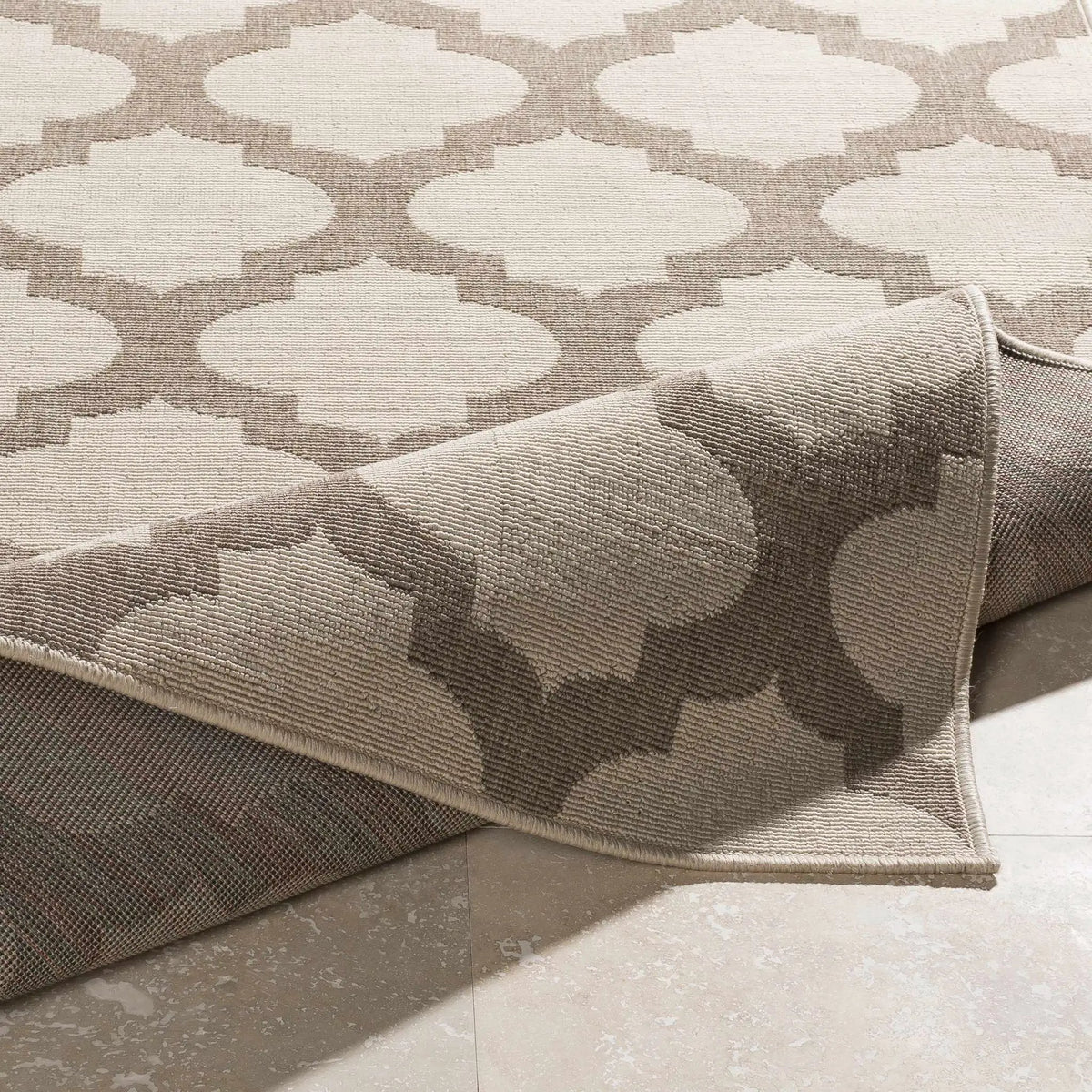 Winterville Outdoor Area Rug - Clearance, photo 8 of 12