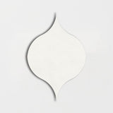 Winter Leaf