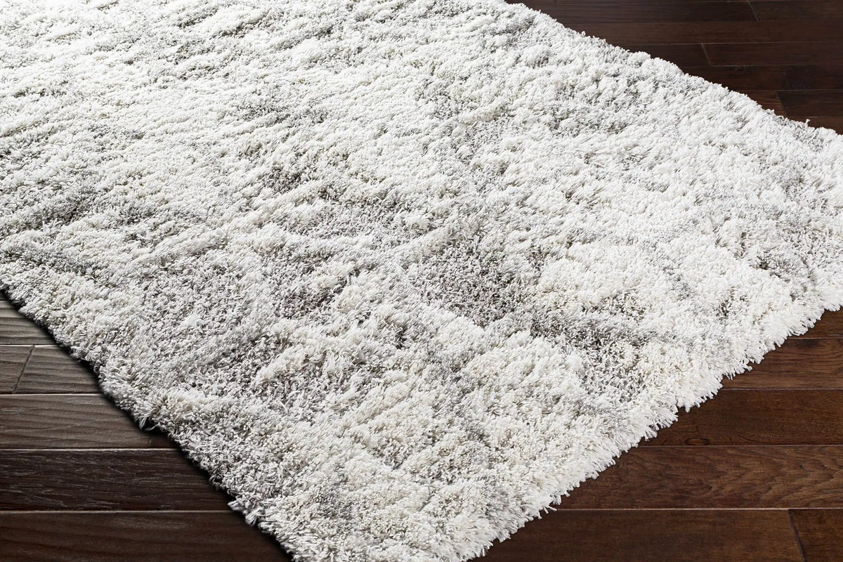 Wynant Gray Tones Plush Rug, photo 3 of 9