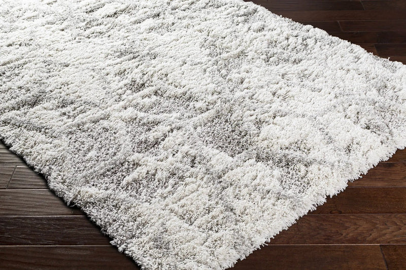 Wynant Gray Tones Plush Rug by Boutique Rugs