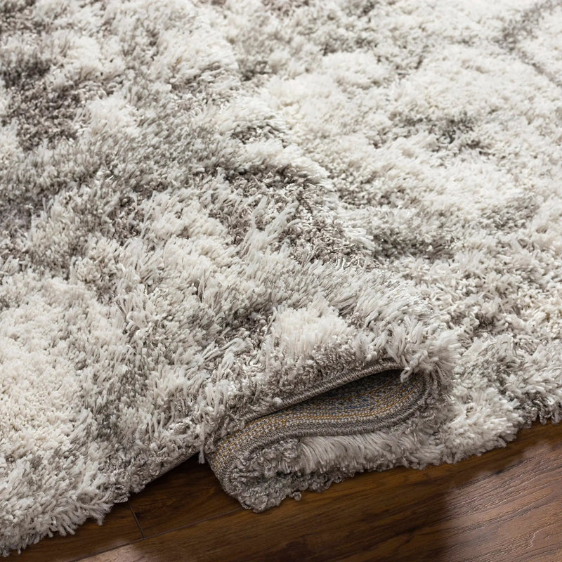 Wynant Gray Tones Plush Rug by Boutique Rugs