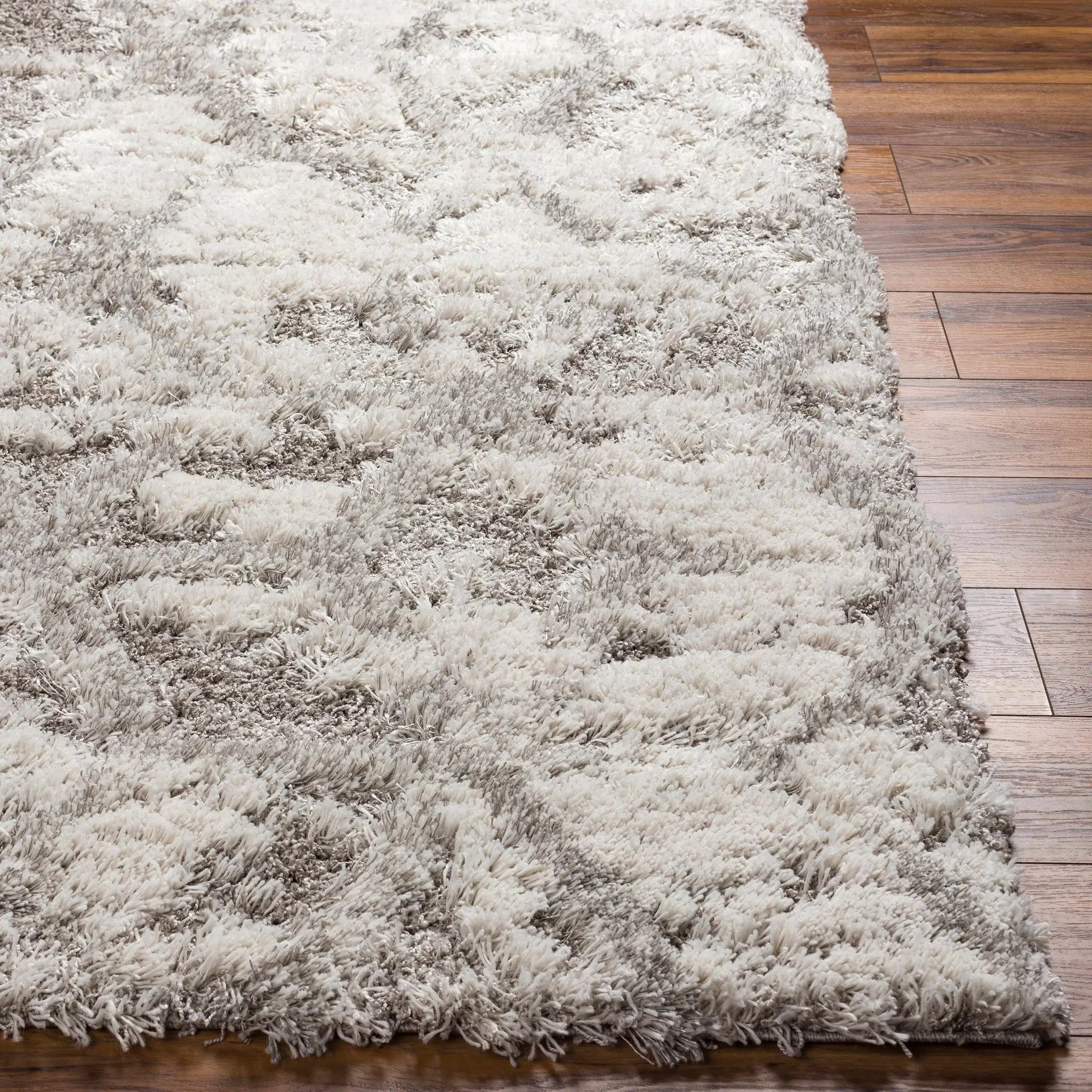 Wynant Gray Tones Plush Rug by Boutique Rugs