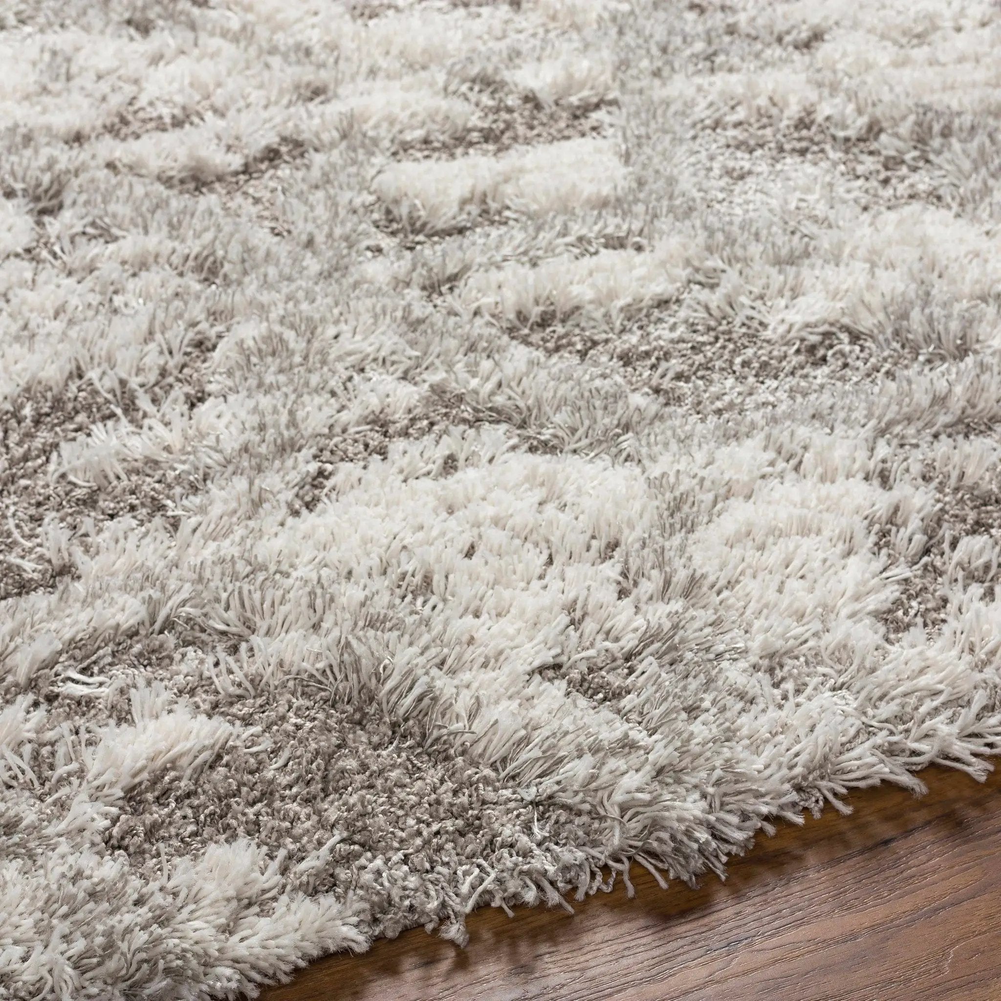 Wynant Gray Tones Plush Rug by Boutique Rugs