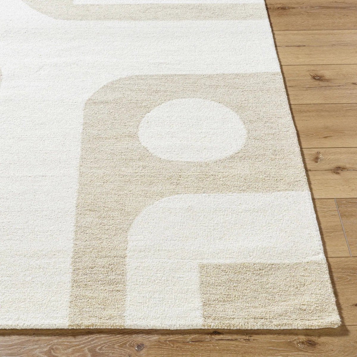Xaila Area Rug, photo 4 of 7