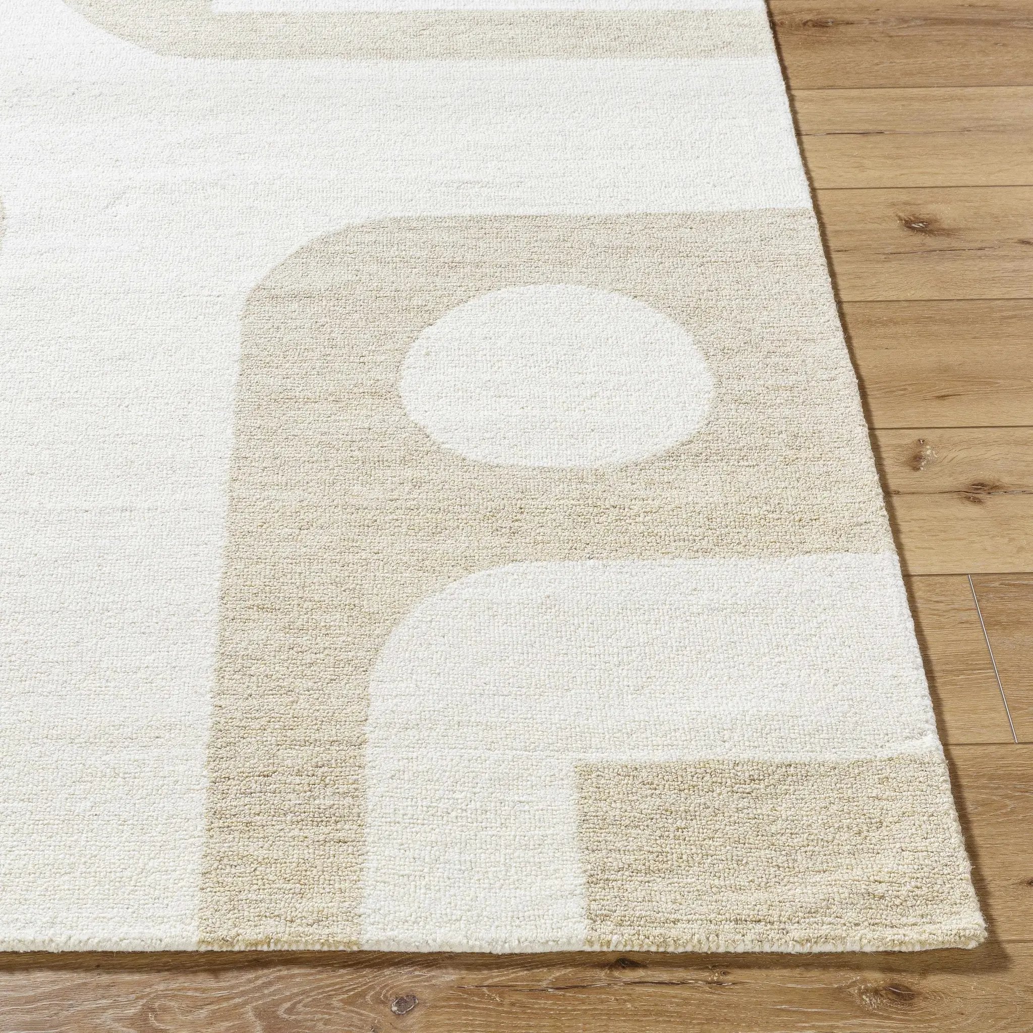 Xaila Area Rug by Boutique Rugs